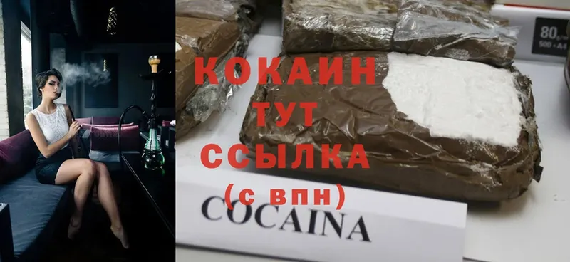 мега   купить закладку  Мегион  Cocaine Fish Scale 